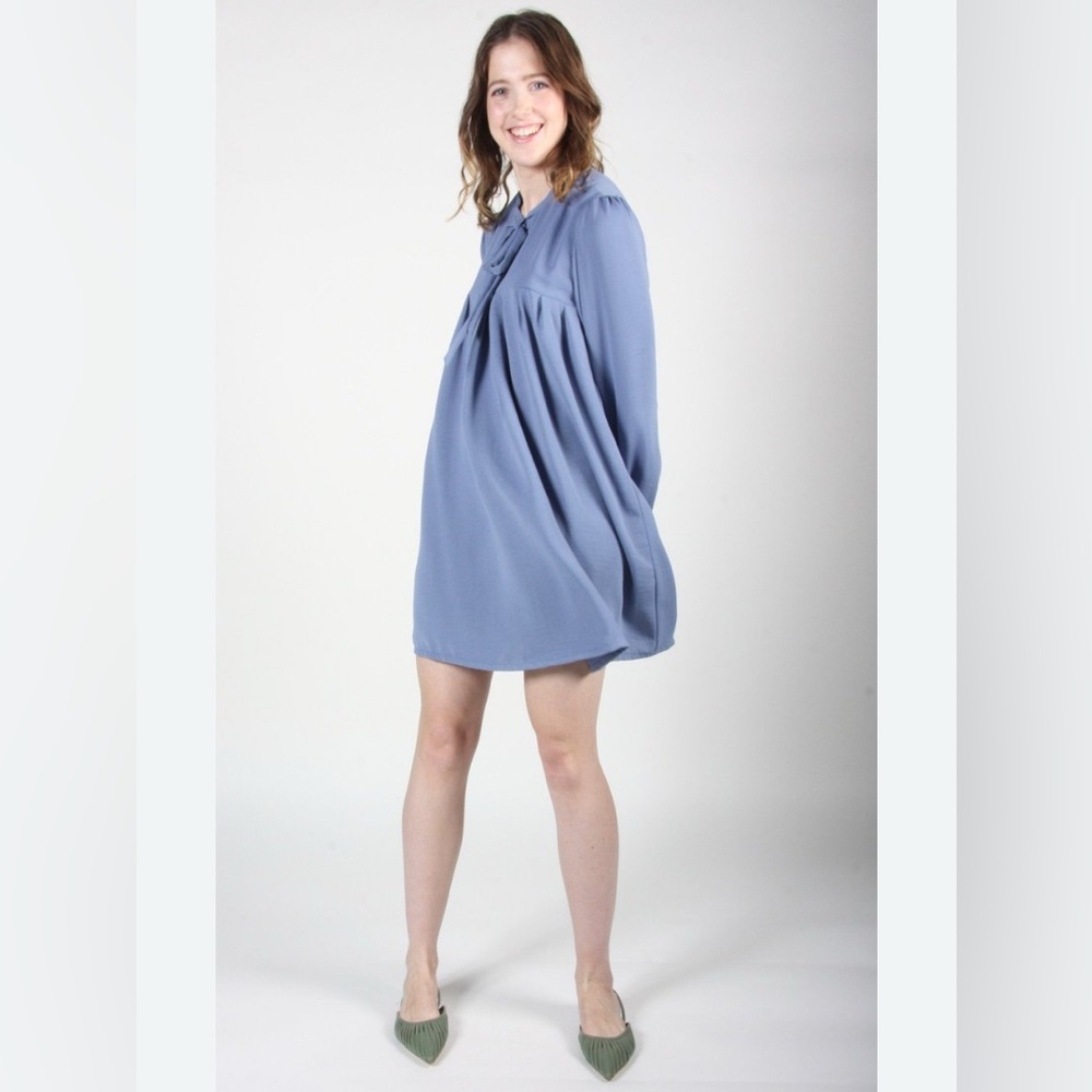 Birds of North America duck dress in periwinkle